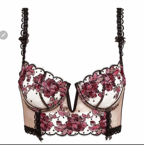 🍋For Love and Lemons Juliet Embroidered Mesh Bustier Bra - Picture 1 of 10